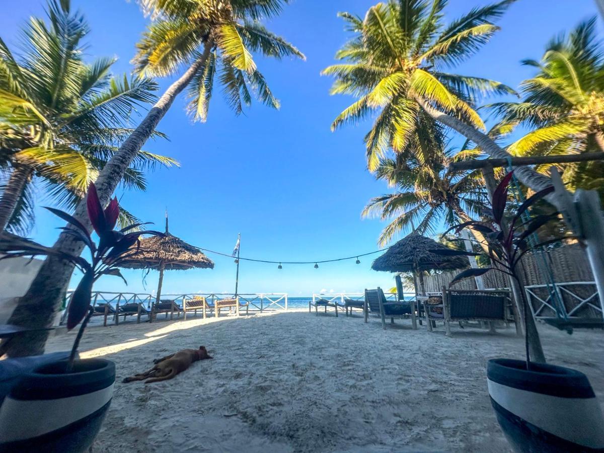 The African Paradise Beach Hotel Bwejuu Exteriör bild